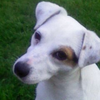 Photo de profil de Baïlha