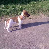 Photo de profil de Clea