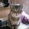 Photo de Jack