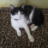 Photo de Ozan
