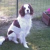 Photo de Lesly