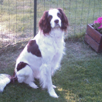 Photo de profil de Lesly