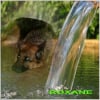 Photo de Roxane