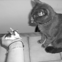 Photo de profil de Foufoune