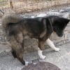 Photo de Bounty