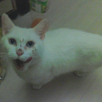 Photo de profil de Moli
