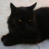 Photo de Babalouchto
