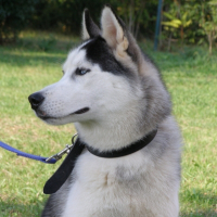 Photo de profil de Bounty