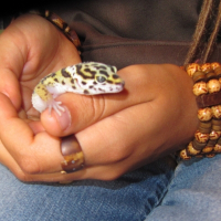 Photo de profil de Kakkou