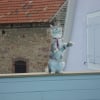 Photo de Daymon
