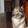 Photo de Junior