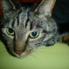 Photo de Clovis