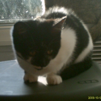Photo de profil de Youpi