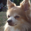Photo de Uky