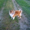 Photo de Chanel