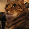 Photo de Charly