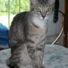 Photo de Kiara