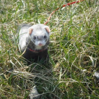 Photo de profil de Liloo