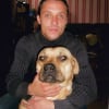 Photo de Una, Staffordshire Bull Terrier