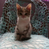 Photo de Mya