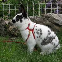 Photo de profil de Jannot