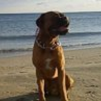 Photo de profil de Viper