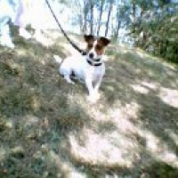 Photo de profil de Vip