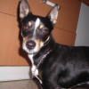 Photo de Roxy