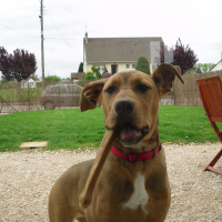 Photo de profil de Fiona