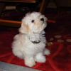 Photo de Denka