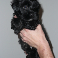 Photo de profil de Momo