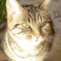 Photo de profil de Mayanne