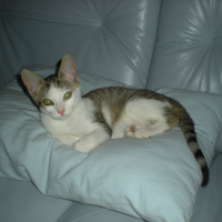 Photo de profil de Eliot