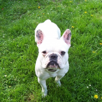 Photo de profil de Marcel