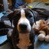 Photo de Eloa