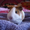 Photo de Niouki
