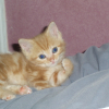 Photo de Bounty