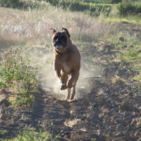 Photo de profil de Oscar