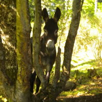 Photo de profil de Fidgi 