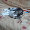 Photo de Sita