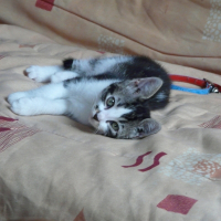Photo de profil de Sita