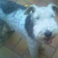 Photo de profil de Teddy