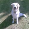 Photo de Athena