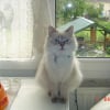 Photo de Namouche 