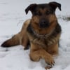 Photo de Bubble
