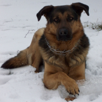 Photo de profil de Bubble