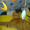 Photo de Mimoune