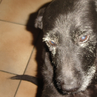Photo de profil de Oscar