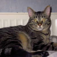 Photo de profil de Bounty