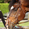 Photo de Oliver dancer